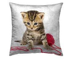 Zebra Textile 37803 Digital 1048 Oreiller 45 x 45 cm