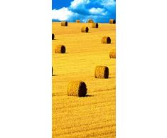 PeelitStickit id-0213 60 Largeur x 130 cm Hauteurâ¯: Belle Nature de Haute qualité en Vinyle Papier Peint Mural