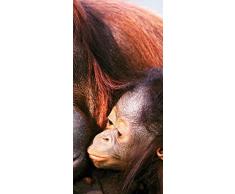 PeelitStickit ID-015Â 60Â Largeur x Hauteurâ¯: 130Â cm Deux Gorille Animal Papier Peint en Vinyle de Haute qualitÃ©