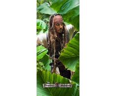 AG Design ftdv 0269Â Papier Peint Photo Mural Photo Papier Peint Photo Mural omurals Disney pirats