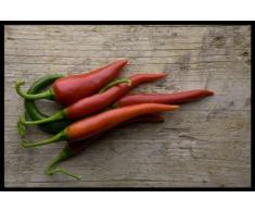 Digital Republic.com 40730 Paillasson Polyamide-PVC sans Phtalate