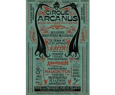 Pyramid International Poster Les Animaux Fantastiques, Multicolore, 61x91, 5cm