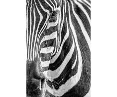 Scenolia Tableau Verre Acrylique Zebre 60 x 90 cm | Décoration Murale Design Fait en France