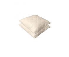 Espritzen - Lots de 2 Oreillers en coton qui respire - Taille : 65x65 cm - Blanc