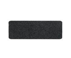Roller Paillasson RENOXÂ ?Â AnthraciteÂ ?Â 25Â x 60Â cm