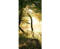 PeelitStickit id-1465 60 Largeur x 130 cm Hauteurâ¯: Belle Nature de Haute qualité en Vinyle Papier Peint Mural