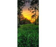 PeelitStickit id-2889 60 Largeur x 130 cm Hauteurâ¯: Belle Nature de Haute qualité en Vinyle Papier Peint Mural