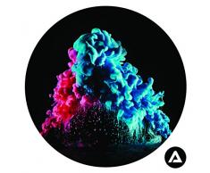 Homedecor. Maison Rouge Violets et Roses Bleues DIY adhÃ©sif Cercles Murale sur Toile, tissÃ© Polyester, Petite, 20.3Â x 20.3Â cm, Tissu, Multi/Couleur, 20.32Â x 20.32Â x 20.32Â cm