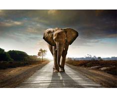 Scenolia Tableau décoratif Grand Format sur Toile AFFRONTEMENT 90 x 60 cm | Impression Haute qualité