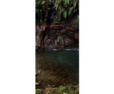 PeelitStickit id-1326Â 60Â Largeur x 130Â cm Hauteurâ¯: Belle Nature de Haute qualitÃ© en Vinyle Papier Peint Mural