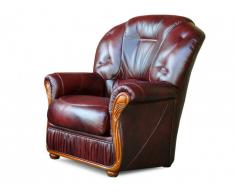 Fauteuil 100% cuir de buffle DAPHNE - Bordeaux