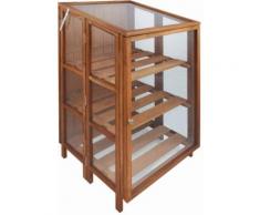 Serre haute de jardin en bois dur,