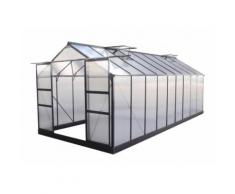 Serre de jardin 16,9m² anthracite en polycarbonate 4mm + embase Green Protect