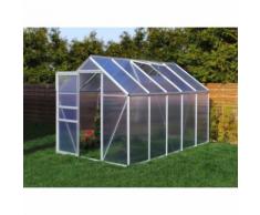 Serre de jardin 5.89 m² en aluminium - 190x310 cm - EUROSPEN