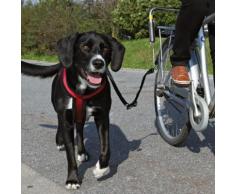 Laisse de vélo pour grand chien Biker Set
