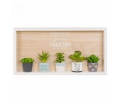 Tableau avec plantes grasses artificielles 46x23