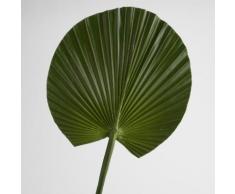 Feuille artificielle de palmier verte H.76cm NATURE
