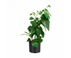 Plante artificielle H46cm