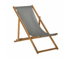 Chilienne de jardin vert olivier