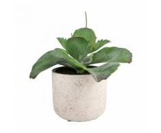 Plante artificielle H17cm