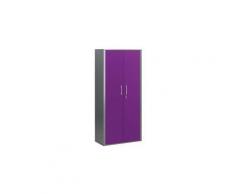 Armoire alu portes battantes prunes H 198 cm