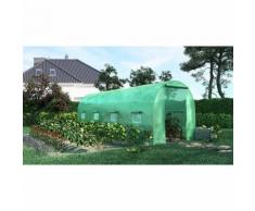 Green Roof - Serre de Jardin Tunnel 12m2 - 4x3m
