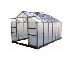 Serre de jardin 9,13m² anthracite en polycarbonate + embase Green Protect