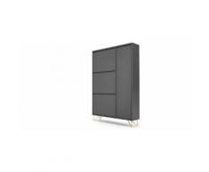 Elona, armoire à chaussures, gris anthracite et laiton