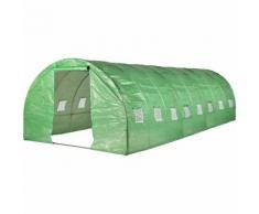 Serre de Jardin Tunnel 24m2 - 8x3m