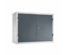 Armoire murale d'atelier h x l x p 600 x 800 x 320 mm, portes en tôle pleine, avec 2 tablettes ,QUIPO