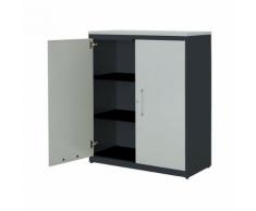 Armoire à portes battantes h x l 1180 x 1000 mm, plateau en plastique, 2 tablettes ,mauser