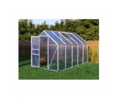 Serre de jardin 5.89 m² en aluminium avec porte et fenêtre d'aération - 190x310 cm - Plantiflex