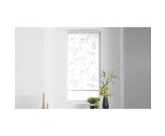 Store enrouleur jour et nuit : Imp japonais rossignol blanc / 120 x 180 cm - Lot de 2