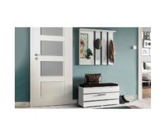 Ensemble d'entrée armoire avec miroir