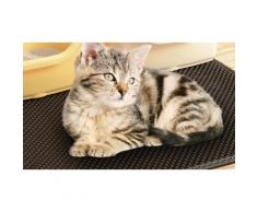 Tapis zéro litière chat : 2