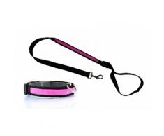 Collier lumineux pour chien : Collier rose + Laisse rose - Taille L - Un de chaque