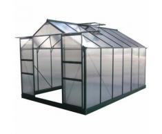 Serre jardin polycarbonate "Dahlia" Vert Sapin 9,24 m²