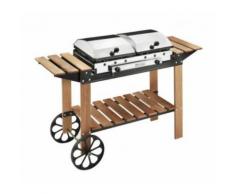 Barbecue portable 2 plaques fonte fonte gaz inox bois 49