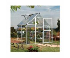 Serre de jardin en polycarbonate Hybrid 2,33 m², Couleur Vert, Ancrage au sol Non - longueur : 1m26