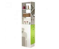 Colonne salle de bain vert 3 tiroirs 1 miroir L24.5xP54xH181.50cm BANIO