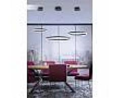 paul neuhaus Suspension Paul Neuhaus TITUS LED Anthracite, 1 lumière - Moderne/Puriste - Intérieur - TITUS - Délai de livraison moyen: 3 à 6 jours ouvrés. Port gratuit France métropolitaine et Belgique dès 100 ?.