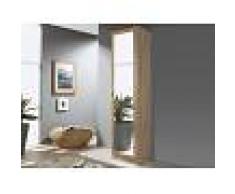 Mobistoxx Armoire d’angle SAMASSA 1 porte miroir chêne sonoma/blanc brillant