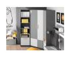 Mobistoxx Armoire d’angle PIKA 2 portes blanc/gris clair