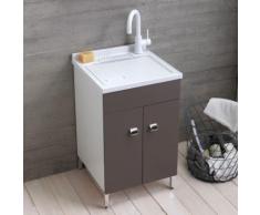 LAVABO 2 PORTES 50X50 AVEC CAISSON COULEUR COLOMBE FONCÉ
