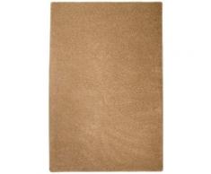 Tapis Shaggy à poils longs 100 x 150 cm Beige - Beige
