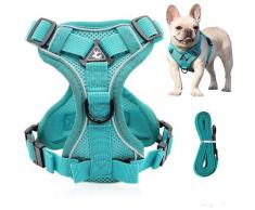 Harnais Chien Triomphe Chien Réfléchissant Harnais, Harnais Chien Anti Traction, Ensemble Harnais