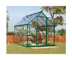 Serre de jardin HYBRID 6x8 vert - 4.6m²