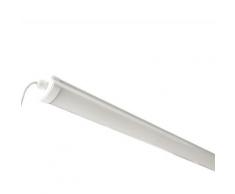 Réglette lumineuse LED étanche 120cm 36W IP65 - Blanc Froid 6000K - 8000K