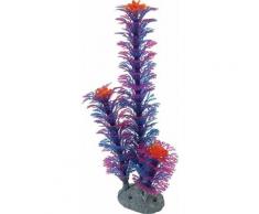 Zolux - Color plante bleu M