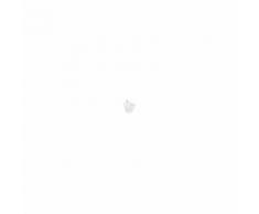 ROCA The Gap Bidet Sur Pied Blanc - A357474000